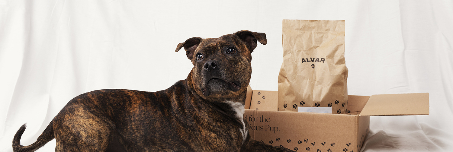Nomi the dog with Alvar Pet dog food and delivery box